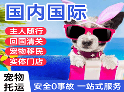 牡丹江航空托运国际宠物托运 【国